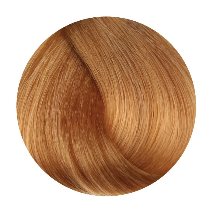Βαφή μαλλιών Ξανθό ανοιχτό ντορέ Oro 8.3 - Cosmital